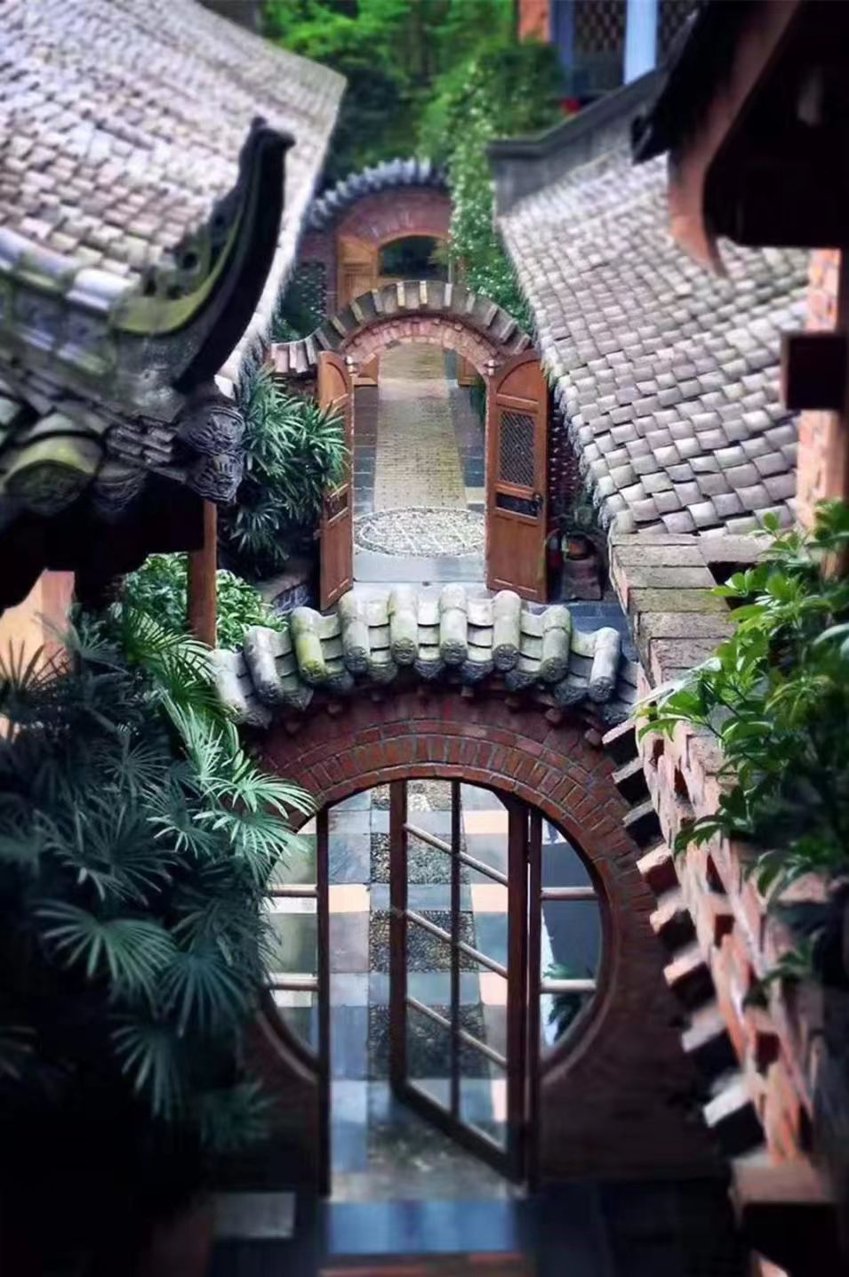 标榜营地 04